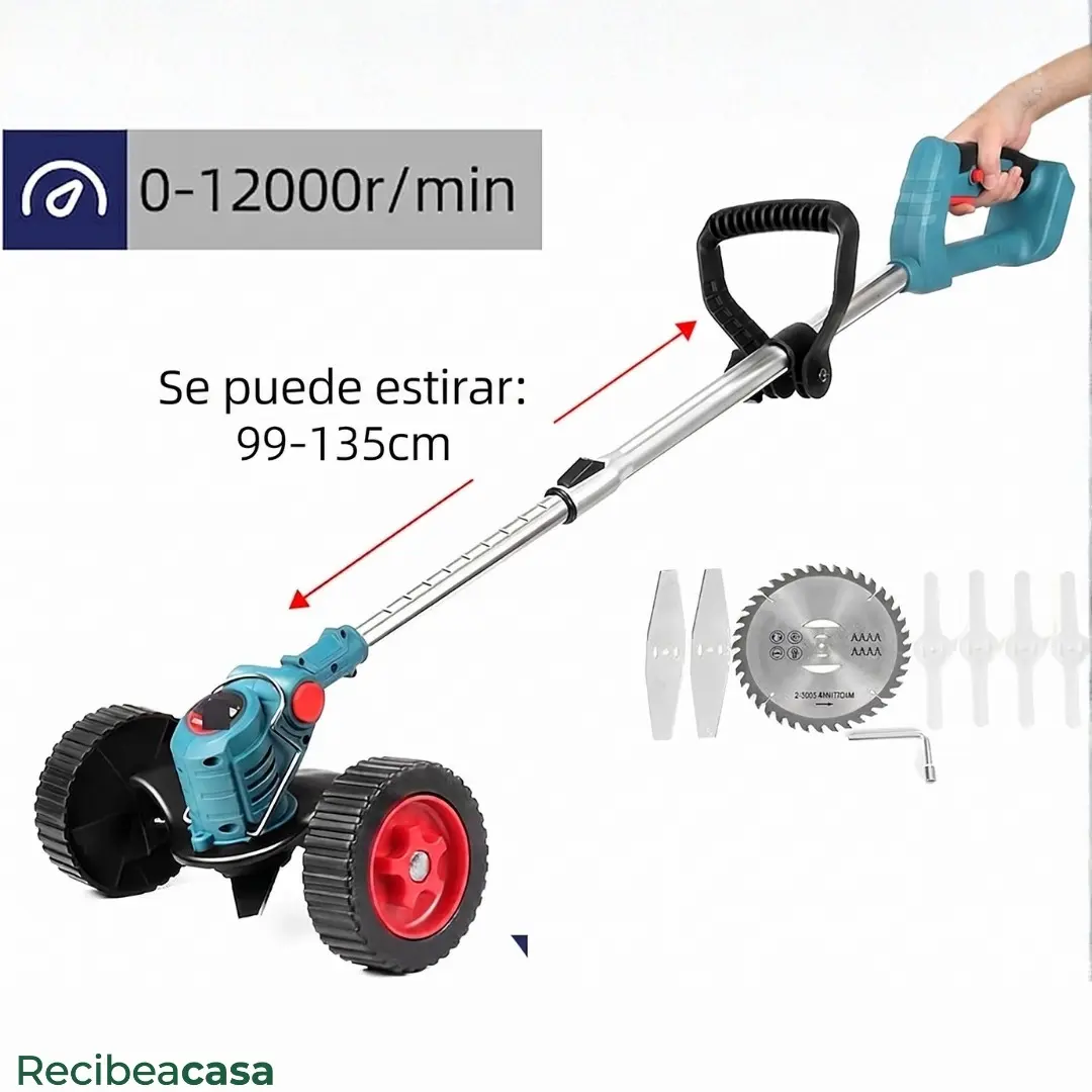 Miniatura 9